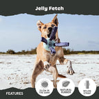 Barkbox Jelly Fetch Dog Toy for Medium Dogs – Perfect for Tug and Fetch Play, Durable Design with Strong Nylon Straps for Long-Lasting Fun