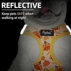 PUPTECK Dog Harness and Leash Set for Small Medium Dogs No Pull Step-in Soft Mesh Puppy Cat Vest Harnesses Reflective at Night Thanksgiving, Autumn, M