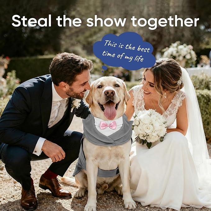 Supet Dog Tuxedo and Bandana Set with Bow Tie, Formal Outfit for Wedding Birthday Party Graduation Valentines, Pet Suit Clothes for Large Medium Small Dogs (Grey, M)