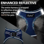 PUPTECK Dog Harness and Leash Set for Small Medium Dogs No Pull Step-in Soft Mesh Puppy Cat Vest Harnesses Reflective at Night, Upgraded New Blue S