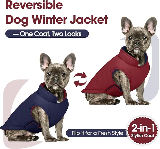 QBLEEV Reversible Dog Winter Coat, Waterproof Windproof Dog Jacket with Adjustable Fit & Leash Hole, Lightweight Warm Puffer Vest for Large Breeds, Wine Red, 2XL – Fits Labrador, Husky, Weimaraner