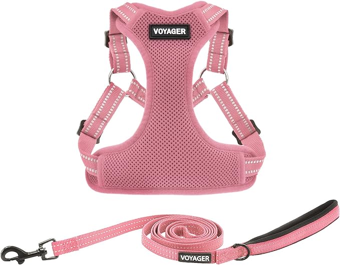 Best Pet Supplies Voyager Adjustable Step-in Flex Breathable Mesh Dog Harness for Small Medium Large Dogs Leash Set (Pink), XL