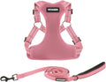 Best Pet Supplies Voyager Adjustable Step-in Flex Breathable Mesh Dog Harness for Small Medium Large Dogs Leash Set (Pink), XS