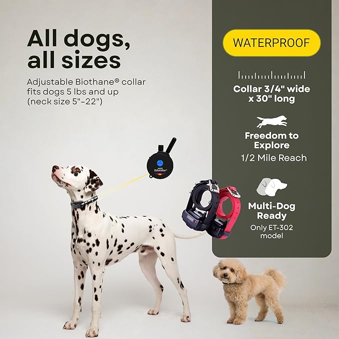 E-Collar ET-300 / ET-302 Dog Training Collar System with Remote - 1/2 Mile Range - Waterproof, Vibration, Sensation - Includes eOutletDeals Pet Towel (2 Dog System - ET-302 Black)