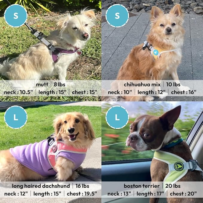 Gooby Simple Step in III Harness - Purple, Medium - Small Dog Harness with Scratch Resistant Outer Vest - Soft Inner Mesh Harness for Small, Medium Dogs