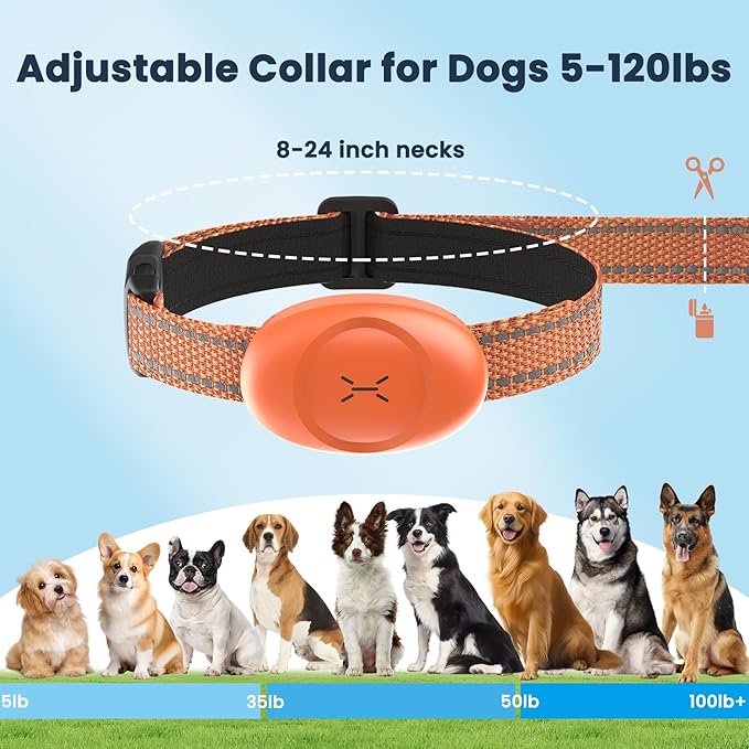 Dog Shock Collar with Soft Neoprene Padded - 4 Training Modes E Collar with 1600FT Remote Control for 5–120 lbs Large Medium Small Dogs, IPX7 Waterproof, Orange