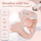 rabbitgoo Dog Harness Small Sized and Leash Set, Step in Soft Light Puppy Vest, Breathable Mesh Pet Harness, Reflective for Outdoor Safe Walking, Pink XXXS