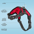 No Pull Reflective Adjustable Dog Harness with Handle- Comfortable Soft All Weather Mesh, Easy On Puppy Harness for Small Medium and Large Dogs (Red) X-Large