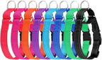 Plutus Pet Reflective Martingale Collar with Buckle - Durable and Adjustable Training Collar for No Pulling, Dog Choker Collar for Small Medium Large Dogs, Bright Green, S