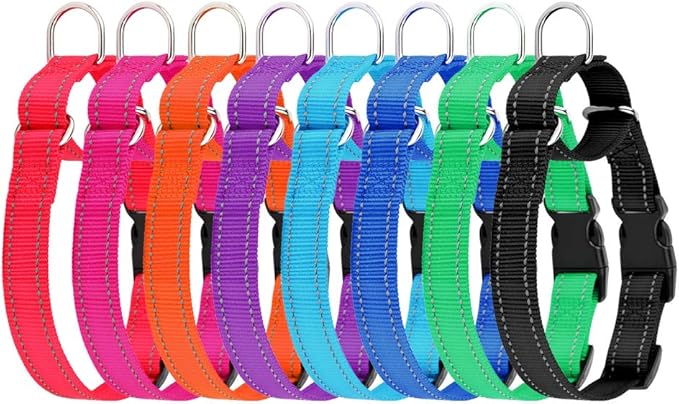 PLUTUS PET Reflective Martingale Collar with Quick Snap Buckle,No Pull Dog Choker Collar for Small Medium Large Dogs,XS,Purple
