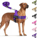 SlowTon No Pull Dog Harness - Heavy Duty Dog Harness and Leash Set for Medium Large Dogs, Reflective Tactical Harness with Soft Padded and Front Clip for Easy Walk and Training (PU, M)