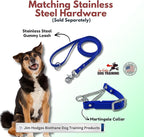 Martingale Collar for Dogs, Biothane, Stainless Steel Hardware, No Pull, Made in The USA, Professional Grade, Medium, Blue