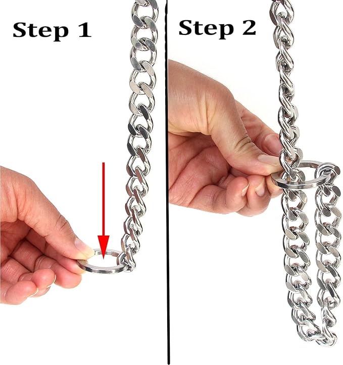 Dog Chain Collars, Metal Choke Link Dog Collar Choker Training Heavy Duty Slip Martingale Puppy Collars for XS Small Medium Large Big XL Breed Dogs (Silver, S(Neck Max 16inch) D2.5mm)