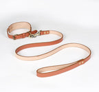 Lightnpro 21" Adjustable Tan Leather Dog Collar & Leash Set - Durable Soft Leather Collar with Leash - Comfortable, Heavy-Duty Walking & Training Gear for Large Breeds