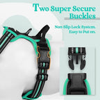 rabbitgoo Dog Harness No Pull with 2 Leash Clips, Adjustable Soft Padded, Reflective Oxford No Choke Pet Vest with Easy Control Handle for Medium Sized Dogs, Black & Turquoise, M