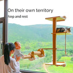 Cat Window Perch and Cat Wall Shelves 2 in 1 Cat Scratching Activity Tree Wall Mounted, Cat Scratch Post for Cats, Kittens with Cat Bed