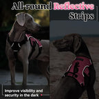 rabbitgoo Escape Proof Dog Harness Medium, Soft Padded Full Body Pet Harness, Reflective Adjustable No Pull Vest with Lift Handle and Leash Clip for Walking Hiking Training, Light Pink, M