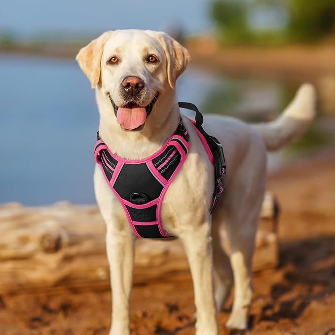 rabbitgoo Dog Harness No Pull with 2 Leash Clips, Adjustable Soft Padded, Reflective Oxford No Choke Pet Vest with Easy Control Handle for Large Dogs, Black & Hot Pink, M