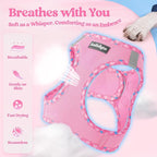 rabbitgoo Dog Harness Small Sized and Leash Set, Step in Soft Light Puppy Vest, Breathable Mesh Pet Harness, Reflective for Safe Easy Walking, Pink & Plaid Trim S