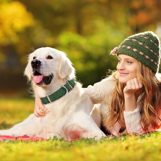 Martingale Collar for Dogs with Quick Release Buckle, Heavy-Duty Solid Color Nylon Training Collars - Adjustable No-Slip Design for Medium & Large Dog