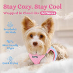 rabbitgoo Small Dog Harness, Step-in Soft Mesh Puppy Vest with Safety Buckle, Breathable Reflective Pet Harness for Small Sized Dogs, Blue & Light Pink M