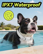 Dog Shock Collar, Dog Training Collar with Remote Control 3300FT Range, Electric Collar with Smart Light, Rechargeable Waterproof E Collar for Small Medium Large Dogs