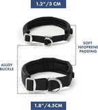 Spark Paws Martingale Dog Collar – Cushioned Slip-On Training Collar, Heavy Duty, Safety-Tested No-Buckle Collar for Medium & Large Dogs - Black - A