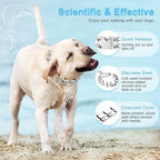 Prong Training Collar for Dogs, Adjustable Dog Training Pinch Collar with Quick Release Buckle, No Pull Collar for Small Medium Large Dogs, Extra Link and Caps (M/L(17-21" Neck, 3.00mm))