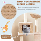 PETSITE 48 inch Cattail Cat Tree, Multi-Level Cat Tower with Sisal Scratching Posts, Cat Condo, Basket Beds, Climbing Ladder, and Soft Washable Cushions, Modern Cat Tree for Indoor Cats