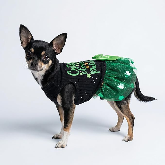 Fitwarm Cutest Clover in the Patch Dog Dress, St Patricks Day Dog Clothes for Small Dogs Girl, Funny Pet Cat Holiday Outfit, Black, Emerald Green, Small