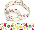Martingale Dog Collars - Flower Multicolor Cute Patterns, Adjustable Nylon Training Dog Collar Suitable for Boy and Girl Dogs Medium Large Dogs (6, M)