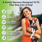 EcoBark Step in Dog Harness - Eco-Friendly Teacup Dog Harnesses for XXS, XS, and Small Dogs - Reflective and Adjustable Mini Body Halter Vest -Tiny Soft Mesh Toy Breed Harness (Fuchsia Pink, XXS)
