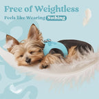 rabbitgoo Small Dog Harness, Step-in Soft Mesh Puppy Vest with Safety Buckle, Breathable Reflective Pet Harness for Small Sized Dogs, Mint Blue XS