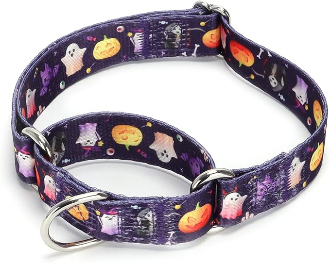 Serijoars Adjustable Martingale Dog Collar Heavy Duty Nylon Dog Collar for Medium Large Dogs Walking Training Boy and Girl Dogs (NO18, M)