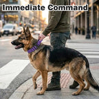 Joytale Tactical Dog Collar for Large Dogs with Control Handle, Heavy Duty Military Training Collar for Power Breeds, AirTag Holder Case, Quick Release Metal Buckle, Soft Padded, L, Purple