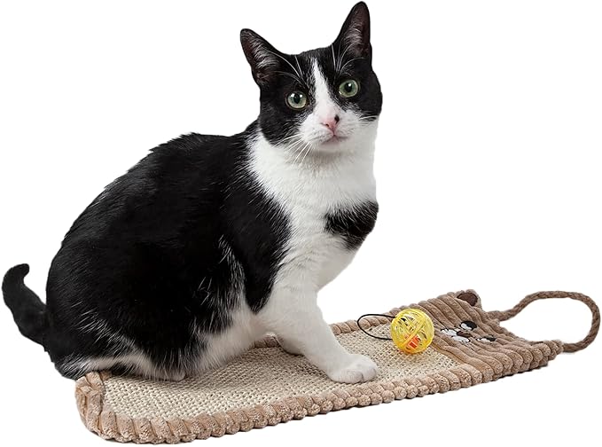 Pet Life ® Eco-Natural Sisal and Jute Hanging Carpet Kitty Cat Scratcher Lounge with Toy