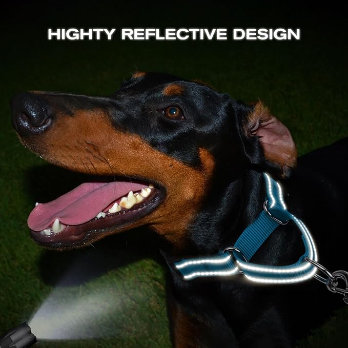 Joytale Martingale Collar for Dogs, Reflective Heavy Duty for Safety, Quick Release Buckle, Adjustable Nylon Collars for Puppy and XSmall Dogs Walking Training, Sky Blue,XS