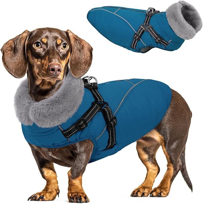 Queenmore Dog Jackets for Large Dogs, Dog Coat with Harness Built in,Waterproof Dogs Coats with Zipper On Back,Warm Fleece Lining Cold Weather Pet Coats with Furry Collar for Labrador,Blue,L