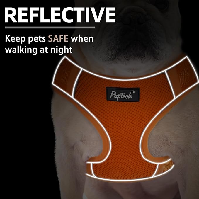 PUPTECK Small Dog Harness and Leash Set, No Pull Adjustable Puppy Cat Harness, Reflective Soft Mesh Pet Vest Small Sized, Orange, XS