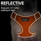 PUPTECK Small Dog Harness and Leash Set, No Pull Adjustable Puppy Cat Harness, Reflective Soft Mesh Pet Vest Small Sized, Orange, XS