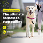 PetSafe Easy Walk Harness for Dogs - Pull-Free Walks - Patented Martingale Loop Design - Front Chest Leash Attachment - Comfort Straps - Breathable Harness Design - Large, Raspberry/Gray