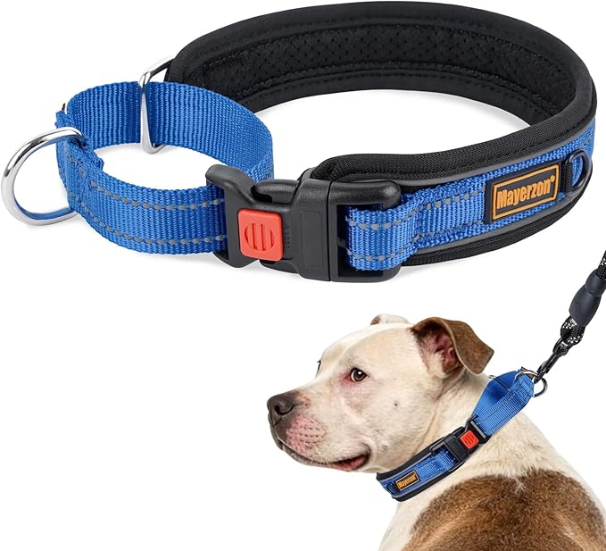 Mayerzon Martingale Collar for Medium Large Dogs, No Pull Dog Collar with Buckle, Soft Padded Reflective Martingale Dog Collar for Training Walking Outdoor(Blue, XL)