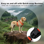 Plutus Pet Adjustable No Pull Dog Harness with Leather Accents, Heavy Duty Reflective Nylon Vest for Training, Hiking, Easy Walk Harness for Small, Medium, Large Dogs (Orange, M)
