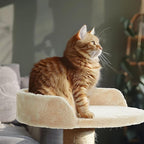2 Pcs 13.39 Inches Semi Edged Cat Tree Replacement Parts Cat Tree Tower Accessories with Hanging Elastic Strings Pom Pom Toys for Platform Perch Shelves(Creamy White)