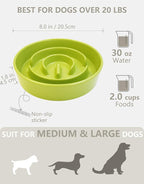 Ceramic Slow Feeder Dog Bowls, 2.0 Cups Slow Feeder for Medium Dogs, Puzzle Maze Bowl to Slow Down Eating, 30oz, 8in, Green