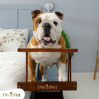 Dog ramp for Bed - PRIORPET Birchwood Adjustable Ramp for Dogs to Get on Bed: Dog ramps for High Beds up to 37 Inches – Foldable Ramp, Anti-Slip Grip & Safety Rails, Small Dogs Up to 120lbs – Walnut