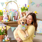 Abbylike 50 Pcs Easter Plaid Dog Bandanas Bulk Pastel Plaid Bandanas for Dogs Triangle Kerchief Bibs Scarf Set for Pet Easter Costume Photo Props Accessories Pet Shops, 25 Styles (25.6 x 17.7 x 17.7)