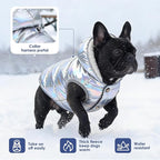 Windproof Waterproof Dog Coat Fleece & Cotton Lined Warm Jacket, Cold Weather Pet Apparel Clothes Vest for Small Medium Large Dog (S, Silver)