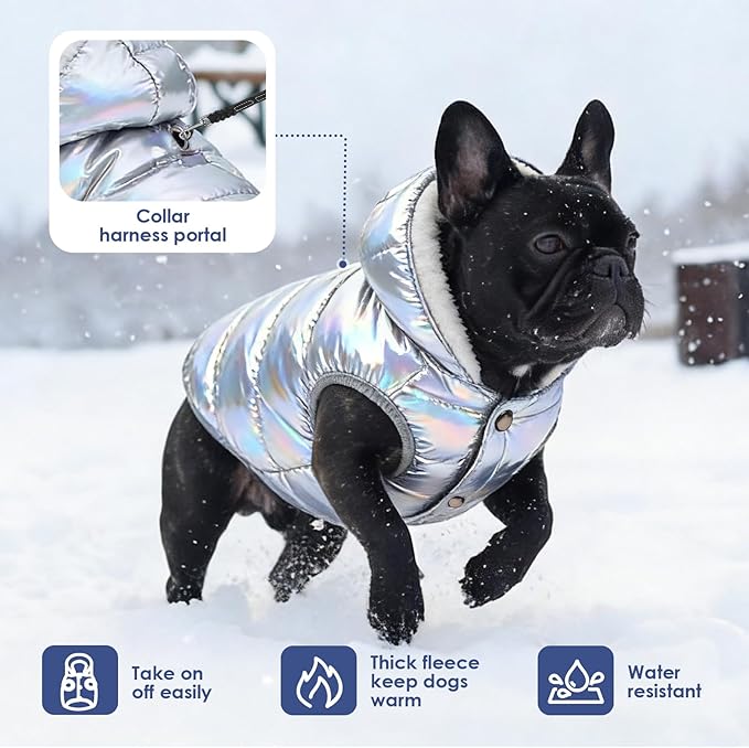 Windproof Waterproof Dog Coat Fleece & Cotton Lined Warm Jacket, Cold Weather Pet Apparel Clothes Vest for Small Medium Large Dog (S, Silver)