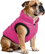 AURUZA Dog Winter Coat, Warm Waterproof Dogs Jacket Small Pet Vest for Medium Dogs Windproof Pet Fleece Vest Snow Jacket for Cold Weather(Hot Pink,XXL)